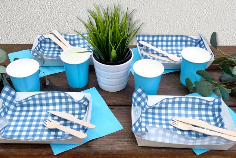 Blue Gingham Party Setting